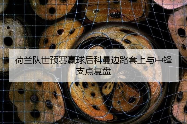 he-lan-dui-shi-yu-sai-ying-qiu-hou-ke-man-bian-lu-tao-shang-yu-zhong-feng-zhi-dian-fu-pan-2-874.jpg
