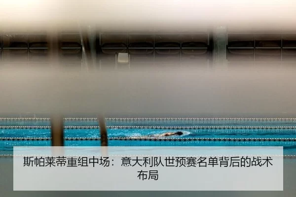 斯帕莱蒂重组中场：意大利队世预赛名单背后的战术布局