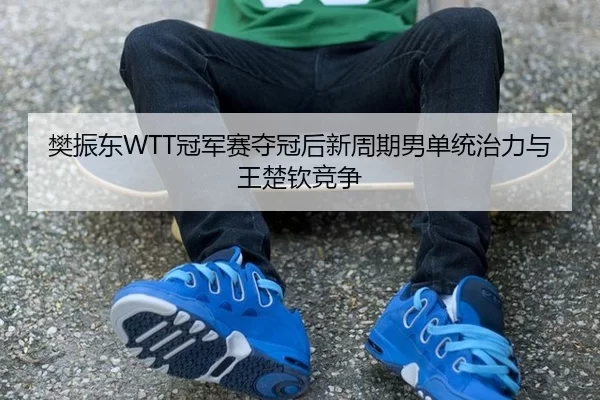 樊振东WTT冠军赛夺冠后新周期男单统治力与王楚钦竞争